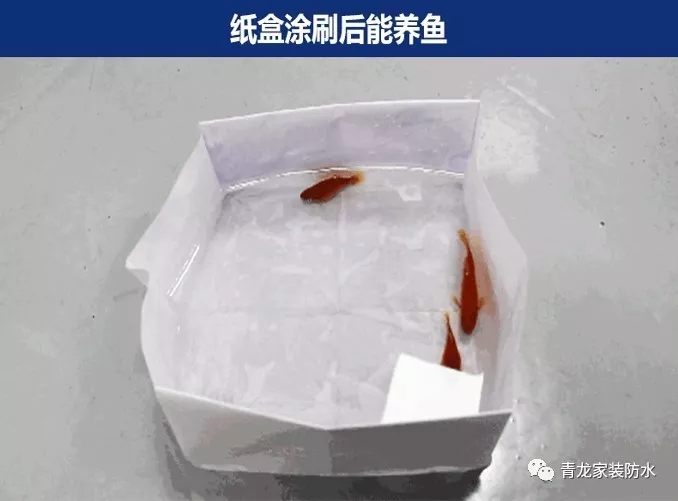 衛(wèi)生間滲漏維修太復(fù)雜，用這種產(chǎn)品老師傅都驚呼神奇！[附視頻](圖1)